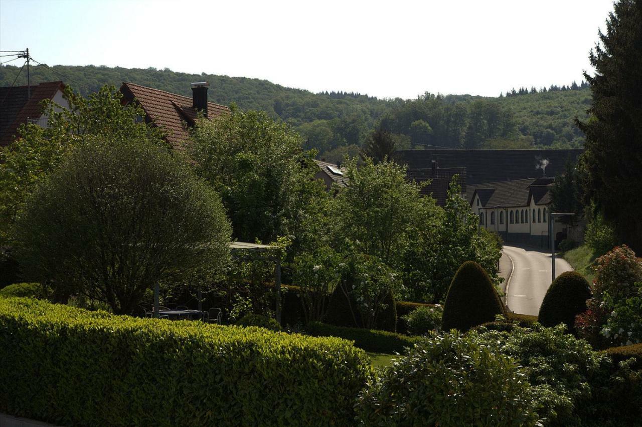 فيلا Ferienhaus Suedbaden شلينغين المظهر الخارجي الصورة